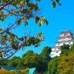 都道府県魅力度ランキング最下位「佐賀県」の魅力を、たっぷり伝えるよ